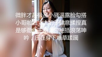 微胖才是极品小骚逼露脸勾搭小哥啪啪，大奶子肆意揉捏真是够劲，主动上位抽插浪荡呻吟，压在身下爆草蹂躏