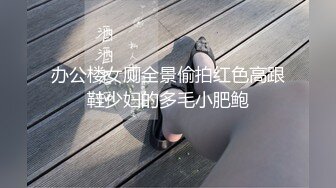 办公楼女厕全景偷拍红色高跟鞋少妇的多毛小肥鲍