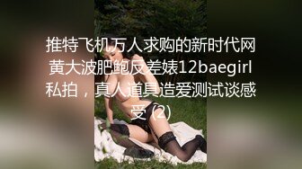 推特飞机万人求购的新时代网黄大波肥鲍反差婊12baegirl私拍，真人道具造爱测试谈感受 (2)