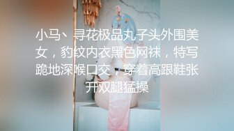 小马丶寻花极品丸子头外围美女，豹纹内衣黑色网袜，特写跪地深喉口交，穿着高跟鞋张开双腿猛操