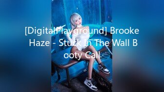 [DigitalPlayground] Brooke Haze - Stuck In The Wall Booty Call